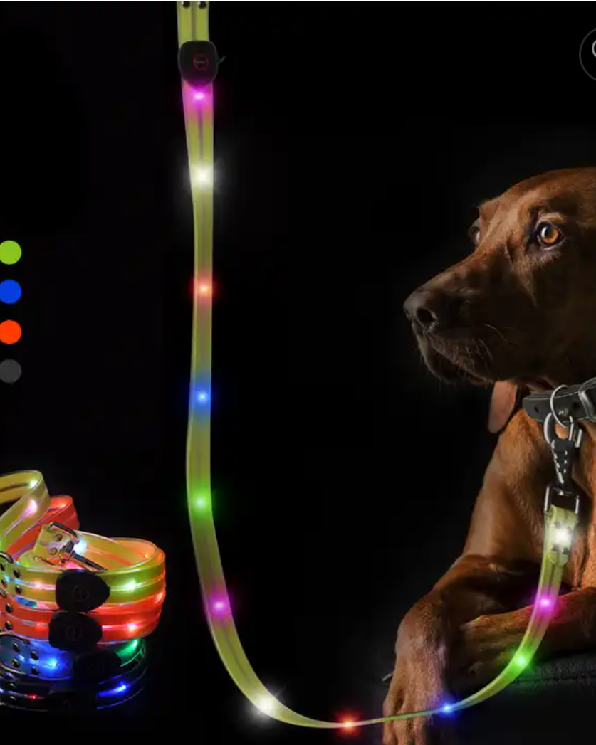 Reflective Pet Accessories