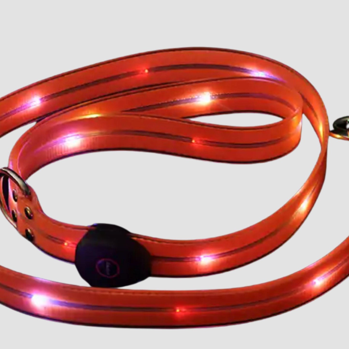 LED Dog Leash