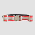 LED waist belt