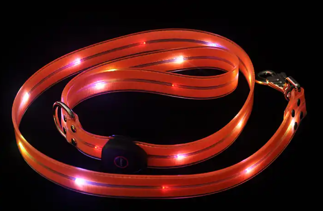 LED Dog Leash