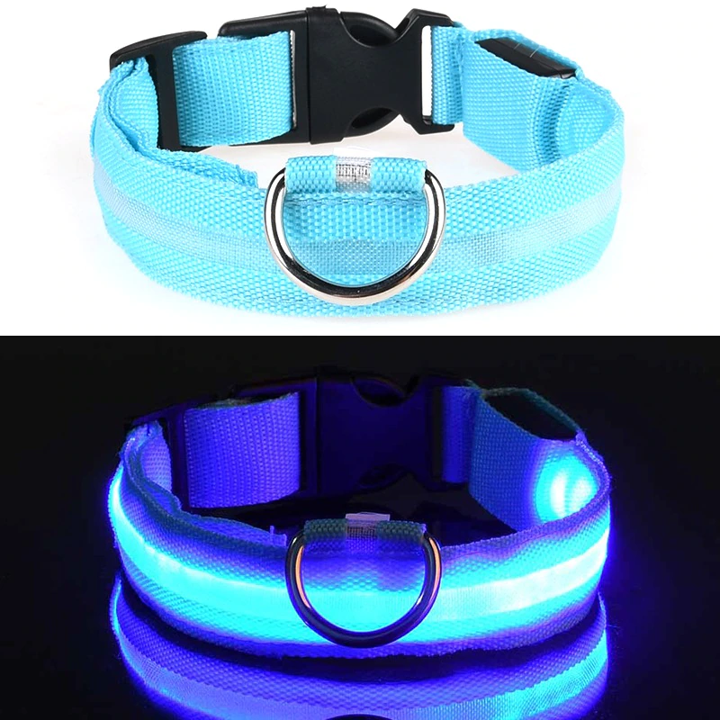 Luminous LED Dog Collar