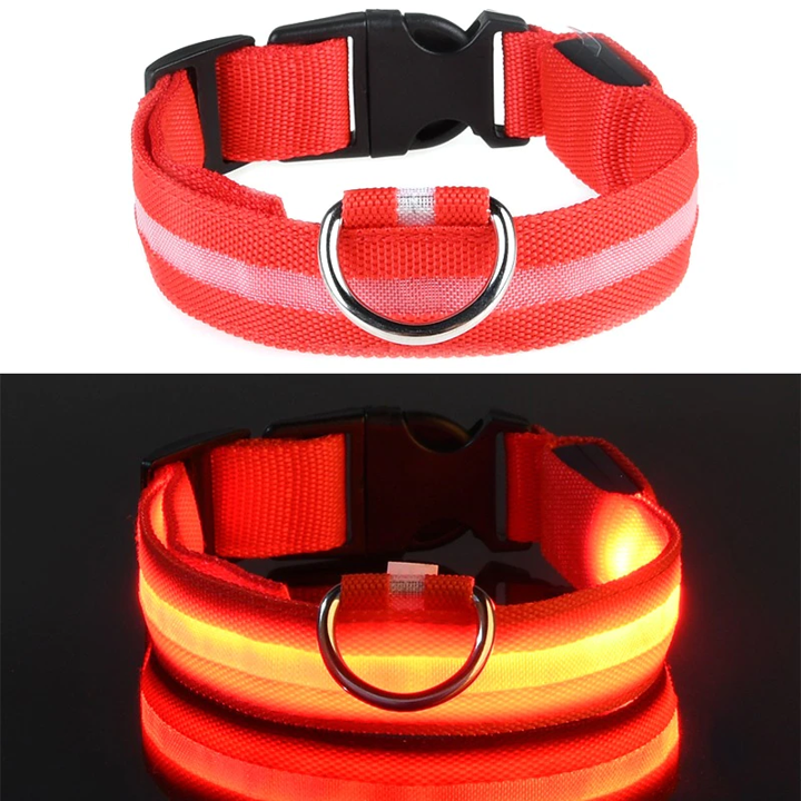 Luminous LED Dog Collar