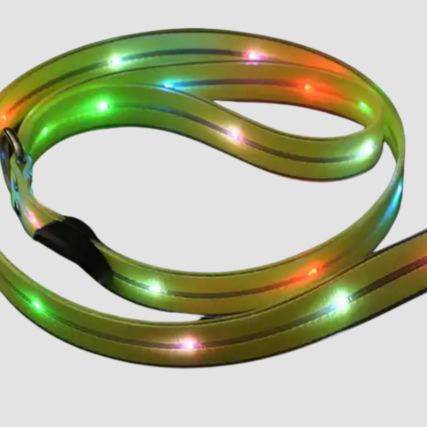 LED Dog Leash