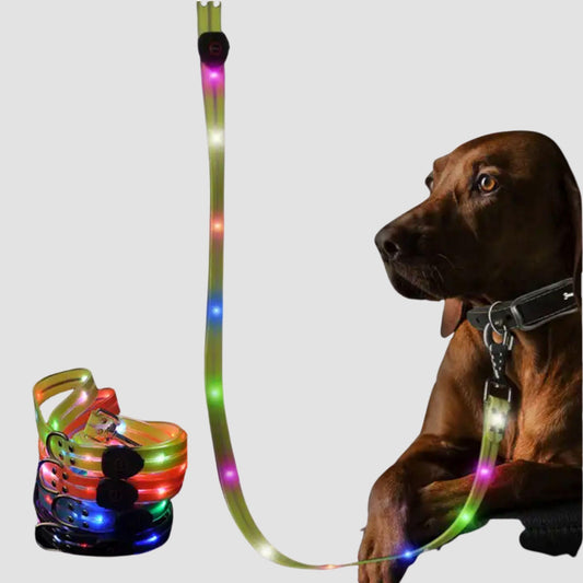 LED Dog Leash