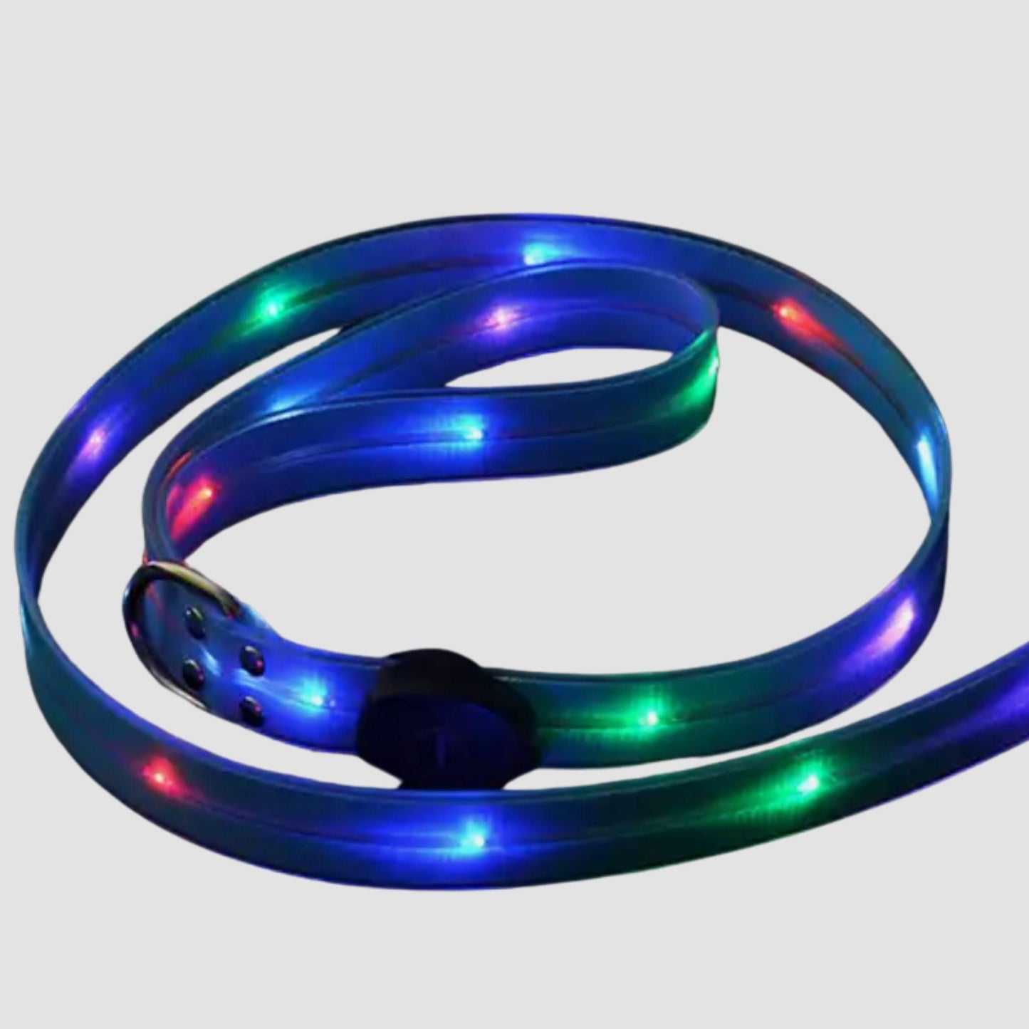 LED Dog Leash