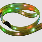 LED Dog Lead